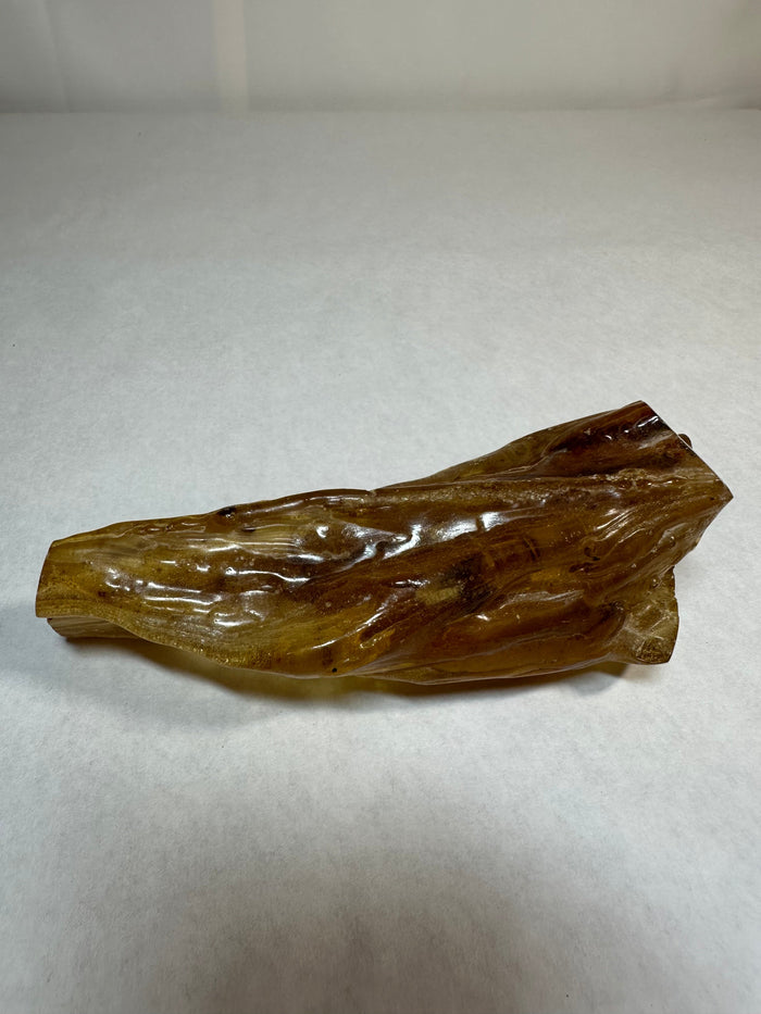 Copal w/ insects