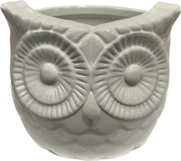Decorative Owl Pot 4 inch