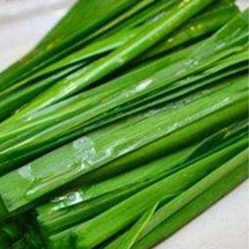 Leek-Seeds
