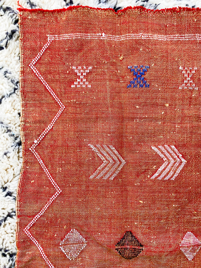 Rust Artisanal Handmade Moroccan small mini embroidered cactus silk sabra rug in rust orange