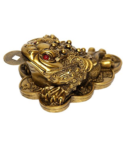 White Whale Arina Creations Resin Vastu/Feng Shui/3-Legged Frog with Coin for Wealth and Happiness (Golden, Standard)