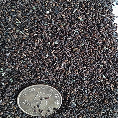 Ageratum Conyzoides & Tropical Whitewee Seeds