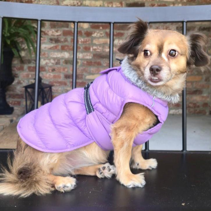 Alpine Extreme Weather Puffy Coat | Lavender