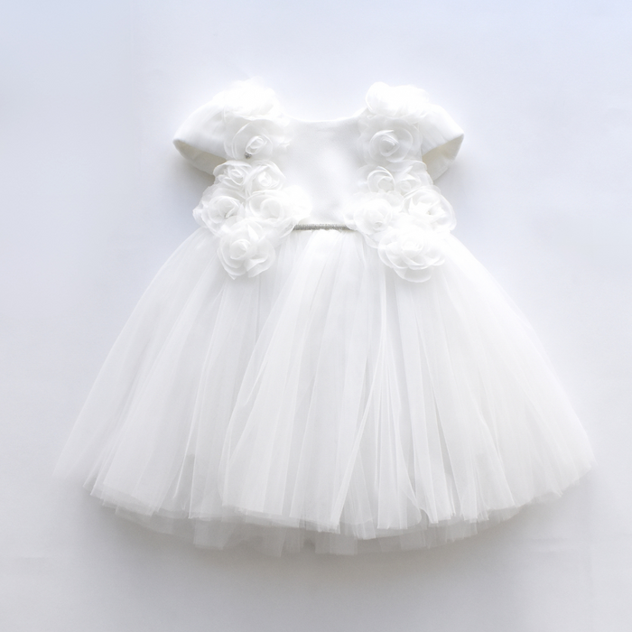 Baby Abby's Short Dress