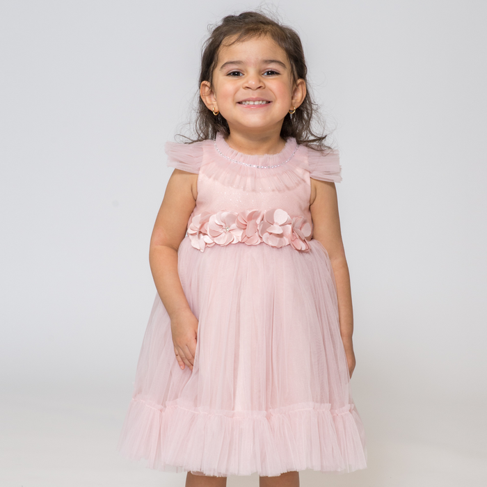 Baby Tania's Tulle Dress