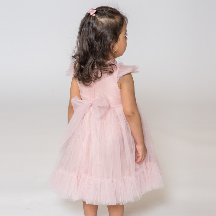 Baby Tania's Tulle Dress