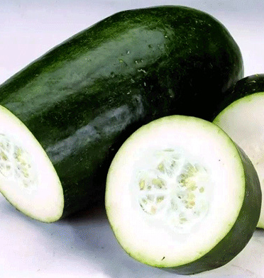 Black-Skin-Wax-Gourd-Winter-Melon-Seeds