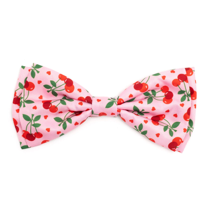 Bow tie with cherry pattern on a white background