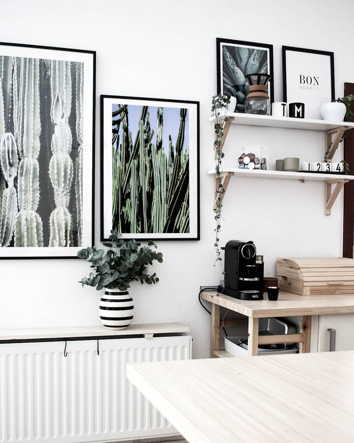 Cacti Photographic Hahnemühle Print