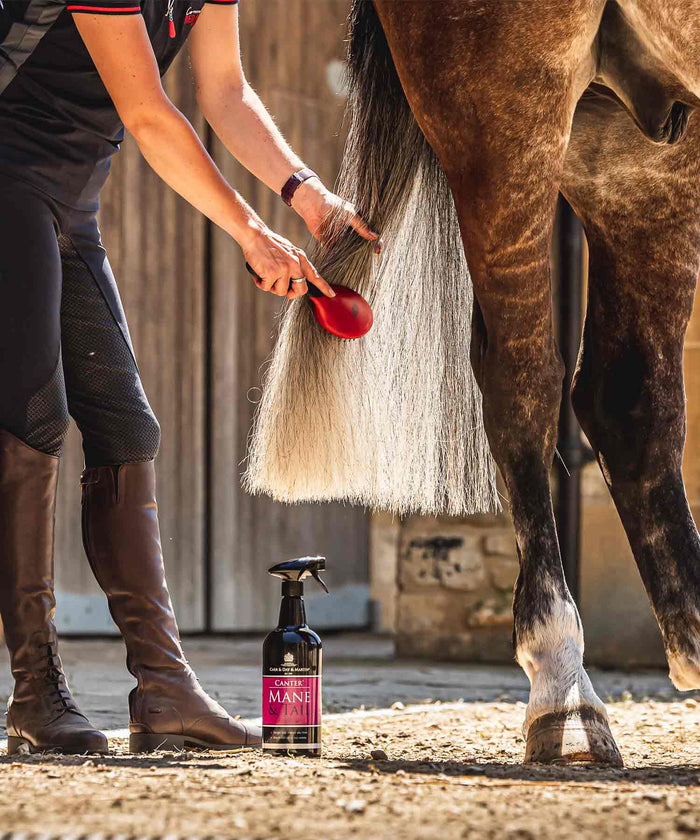 Carr & Day & Martin CANTER MANE & TAIL CONDITIONER 2,5 L
