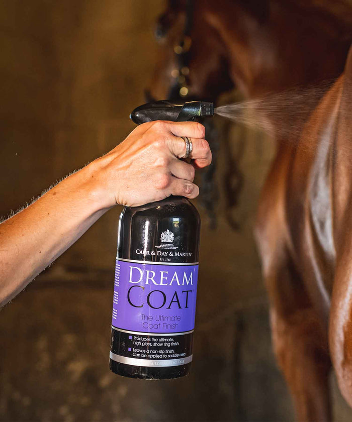Carr & Day & Martin Glanzspray DREAMCOAT 500ml