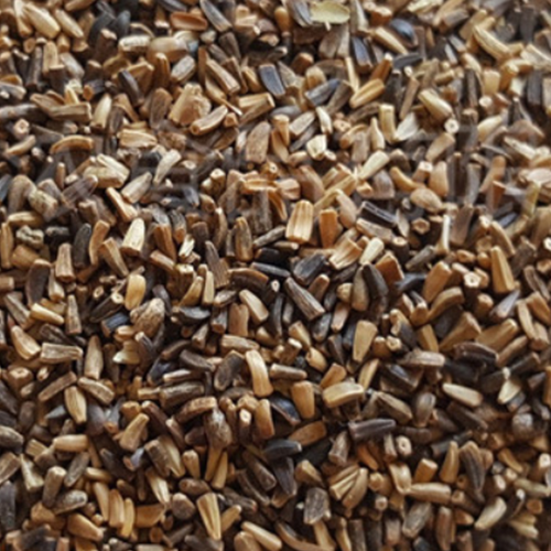 Chjcory & Endive Seeds