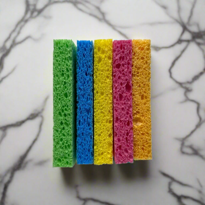 Compressed Cellulose Sponge - Greenbriar Market + Refillery