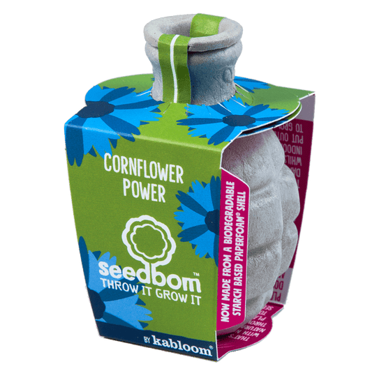 Cornflower Power Seedbom