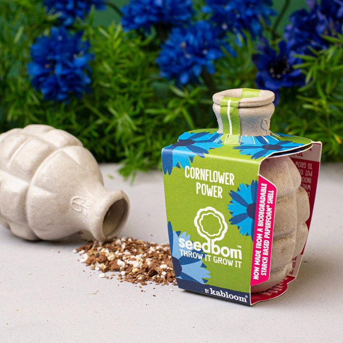 Cornflower Power Seedbom