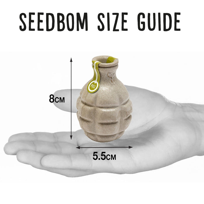 Cornflower Power Seedbom