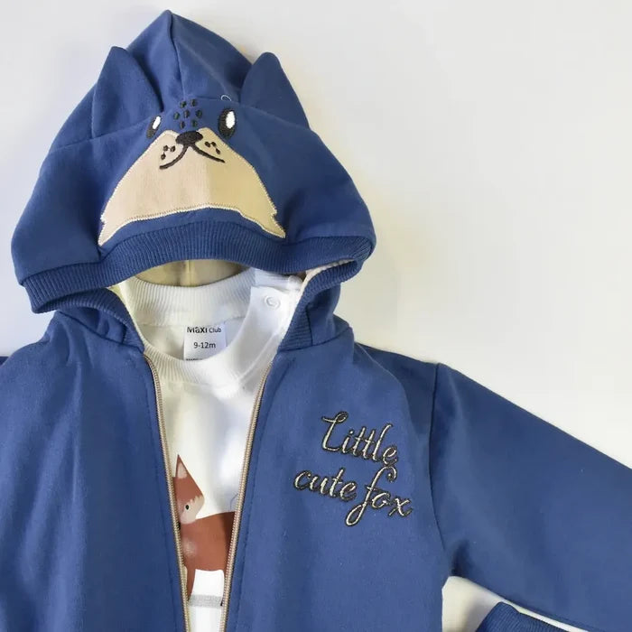 Cute Fox Boys Hoodie Set