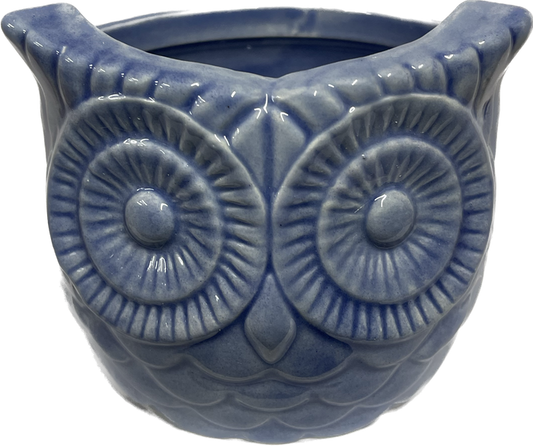 Decorative Owl Pot 4 inch