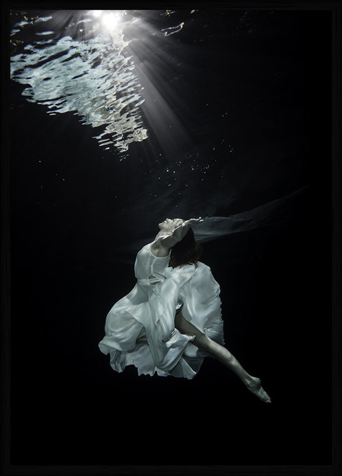 Dove | Framed Print
