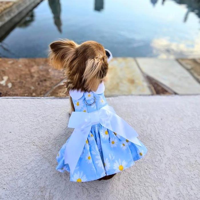 daisy-blue-yellow-dog-dress
