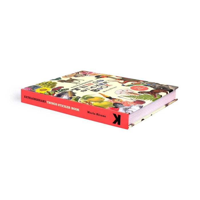 Extraordinary Things Sticker Book | Maria Rivan