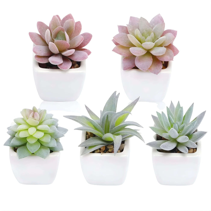 Faux Mini Succulent | Wicked Good Gift Box