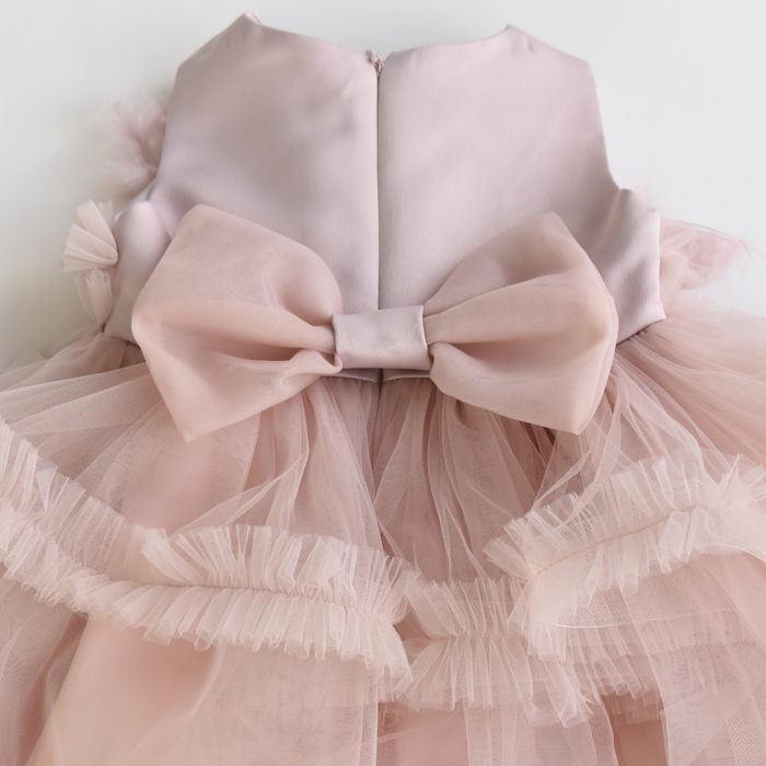 Feathers & Frills Baby Dress