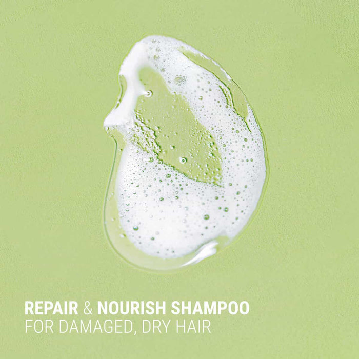 Shampoo lather on a green background with text 'Repair & Nourish Shampoo for Damaged, Dry Hair'.