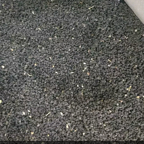 Garlic Sprout Seeds