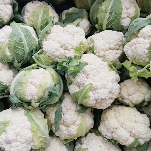 Hbrid F1 White Cauliflower Seeds