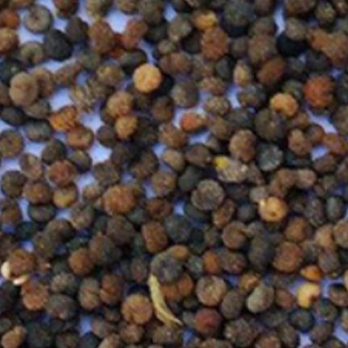 Hbrid F1 White Cauliflower Seeds