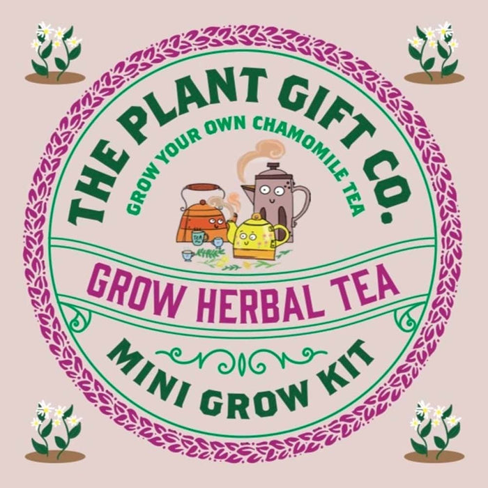 Herbal Tea Mini Grow Kit by The Plant Gift Co. &Keep