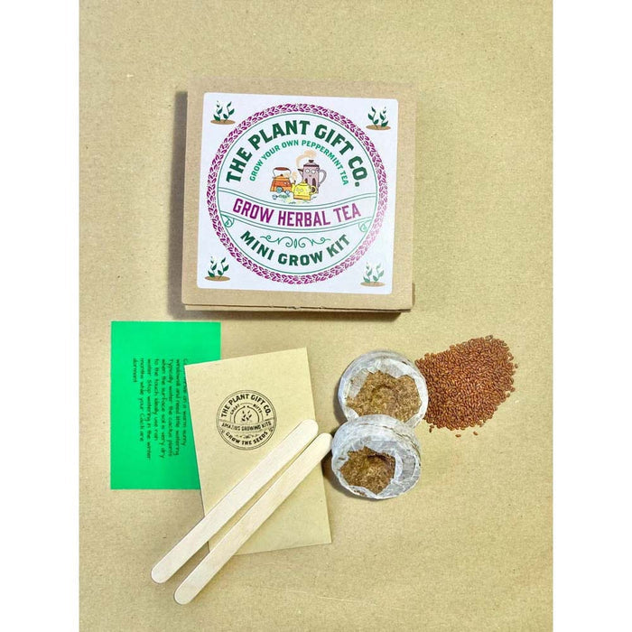 Herbal Tea Mini Grow Kit by The Plant Gift Co. &Keep