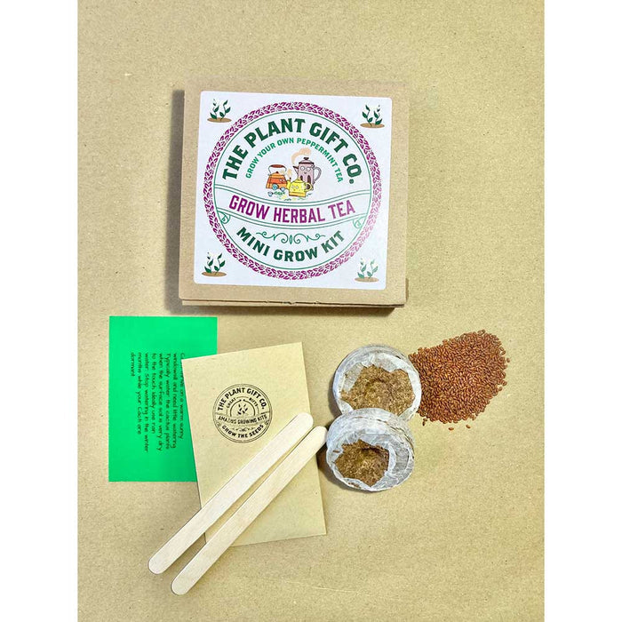 Herbal Tea Mini Grow Kit by The Plant Gift Co.