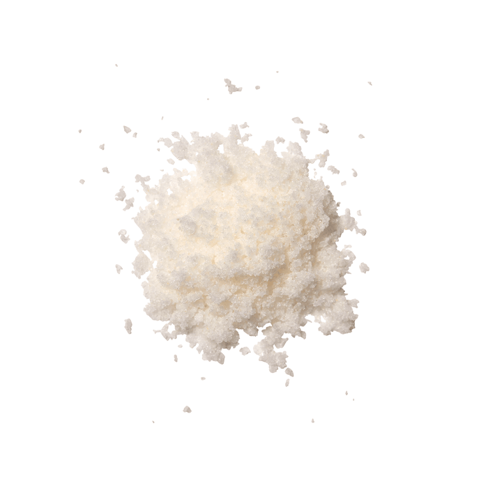 Holi(Radiance)