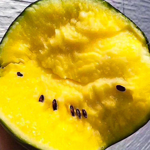 Hybrid-F1-Green-Skin-Yellow-Flesh-Watermelon-Seeds