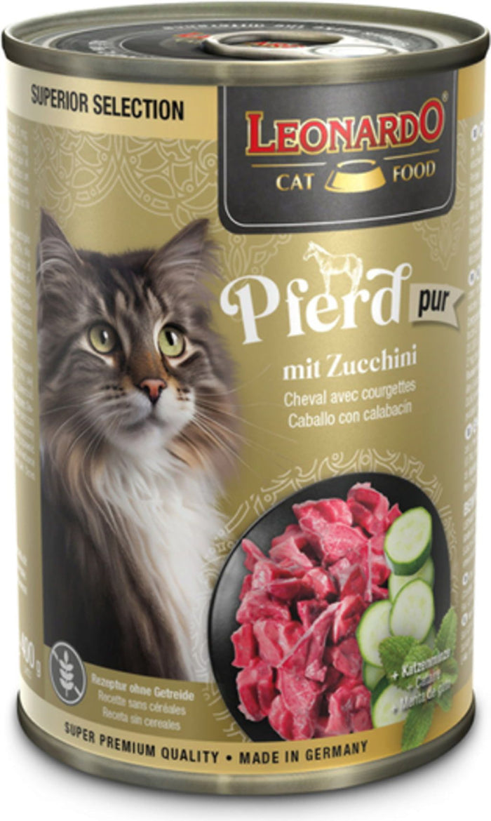 Leonardo Pferd mit Zucchini