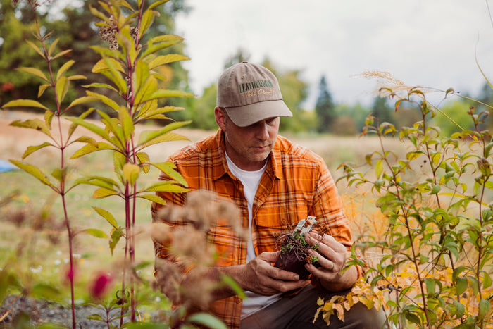 A man in a driftwood colored Leatherman Dad Hat inspecting a newly purchased plant before planting.