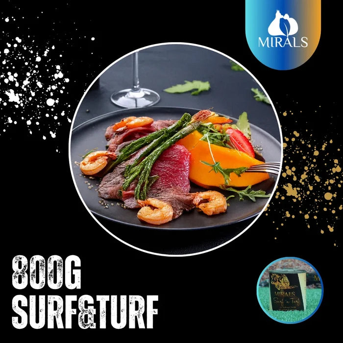 MIRALS Surf'n Turf von Kalb und Shrimp mit Spargel Erdbeer Jus und Papaya-Rucola Salat