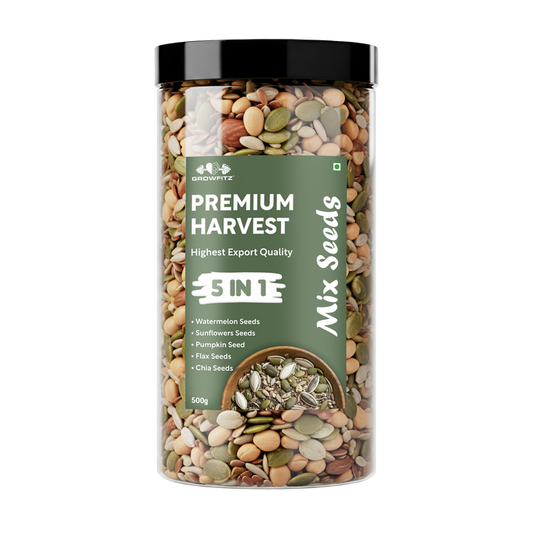 Mix Seeds 5 in 1 | 500gm