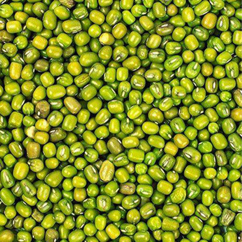 Mung-Bean-Green-Gram-Seeds