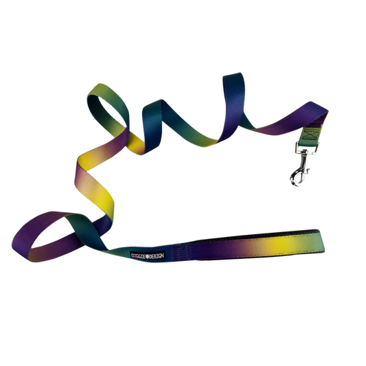 OMBRE-DOG-LEASH-COSMIC-SPLASH
