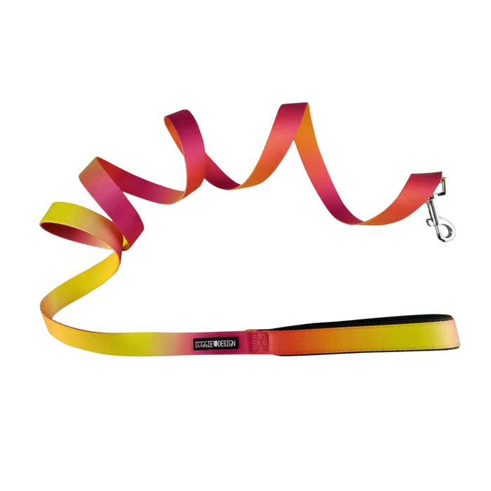 OMBRE-DOG-LEASH-RASPBERRY-PINK-ORANGE