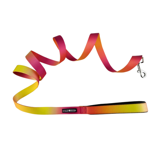OMBRE-DOG-LEASH-RASPBERRY-PINK-ORANGE