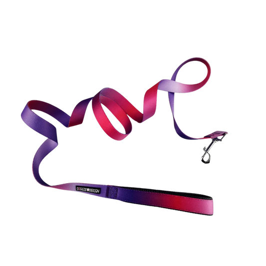 OMBRE-DOG-LEASH-RASPBERRY-SUNDAE