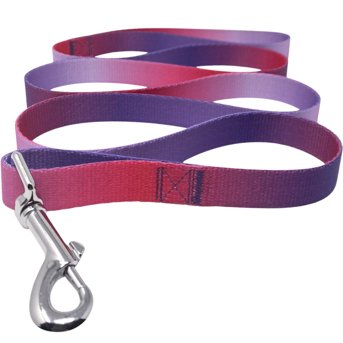 OMBRE-DOG-LEASH-RASPBERRY-SUNDAE