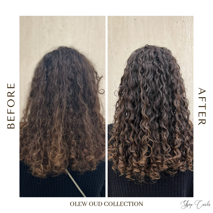 Oud Collection Bundle