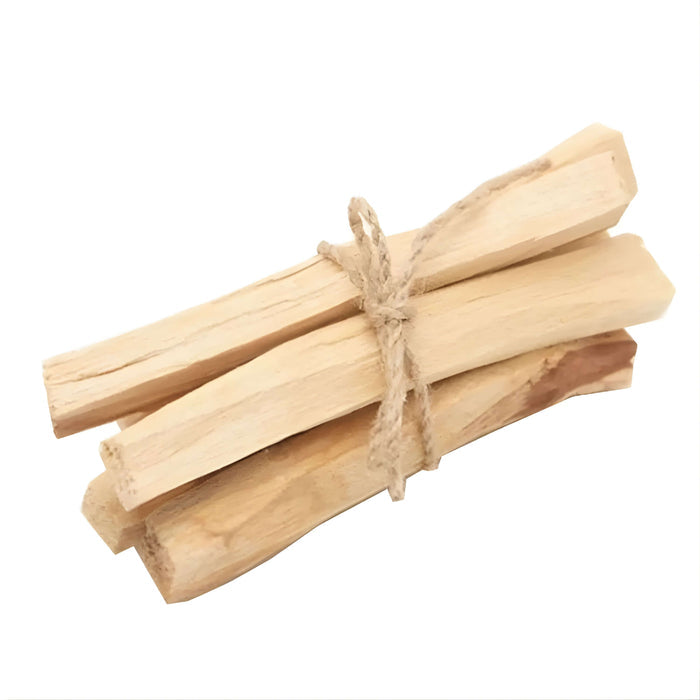 Palo Santo Gift For Healing and Good Fortune | Wicked Good Gift Box