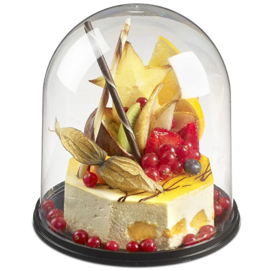 Plastic Dome with Base