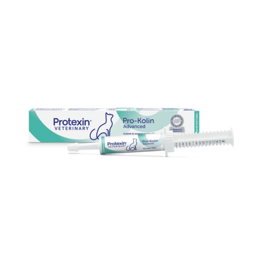 White background with a box and syringe of Protexin Pro-Kolin Advanced  picutred. On the box and syringe is an outline of a cat. Text on the box reads 'A paste to support gut health, soothe the gut lining & firm up feaces'.